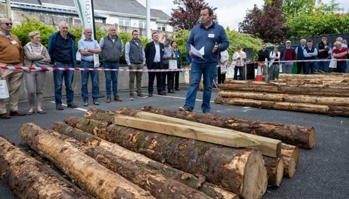 Talking Timber 2024 - Know Your Forest
