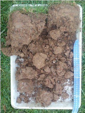 A sample exhibiting good soil structure