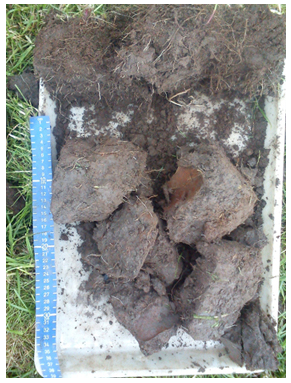 A sample exhibiting poor soil structure