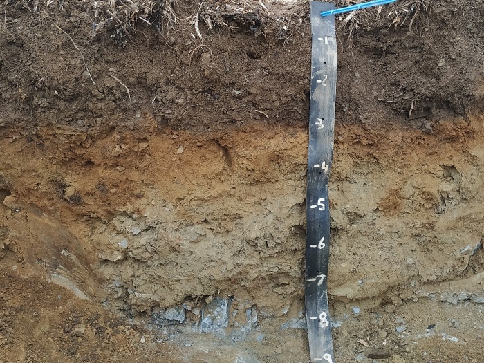 Assessing soil carbon stocks accurately
