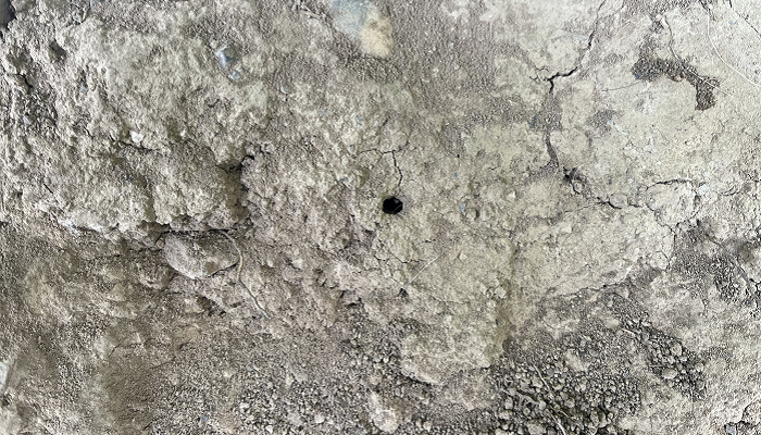 A solitary bee nesting site in a south facing bank
