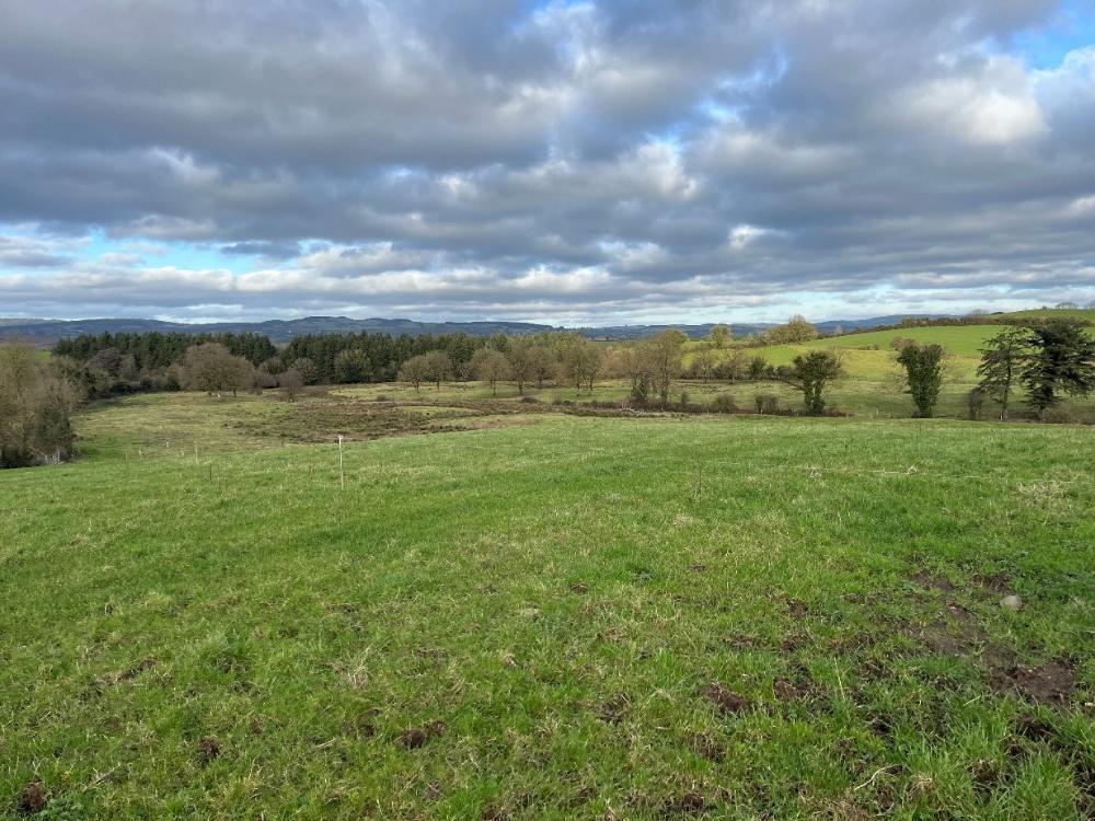 Farm in Tulla