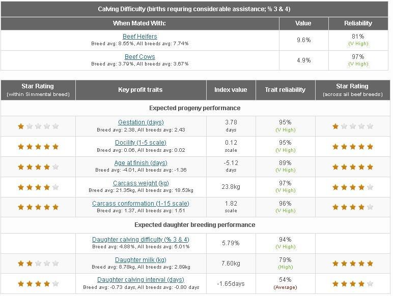 Eurostar details for bull