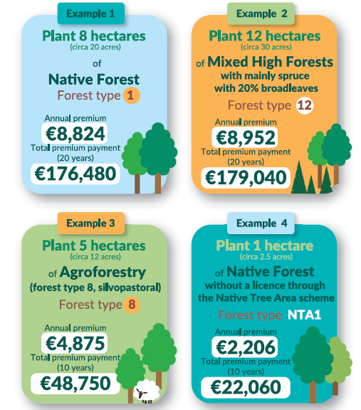 Graphic outlining the payment rates available under various DAFM Afforestation schemes