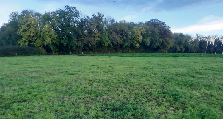 Aidan Maguire heavy cover graze out