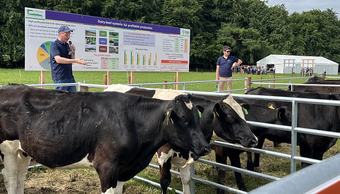 Alan Dillon and Nicky Byrne speaking at BEEF2024