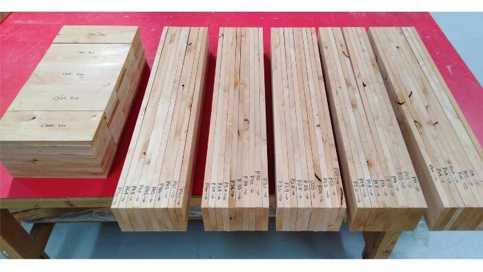 Alder samples prior to testing