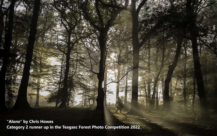 A single person pictured in a woodland setting