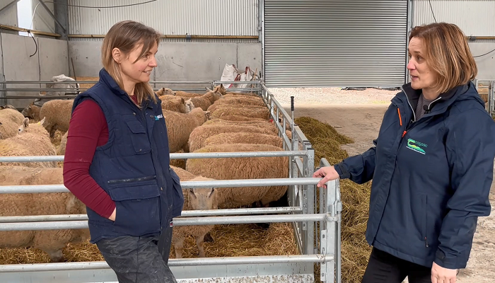 Watch: ‘Feed costs are very high so you need to be feeding accurately’