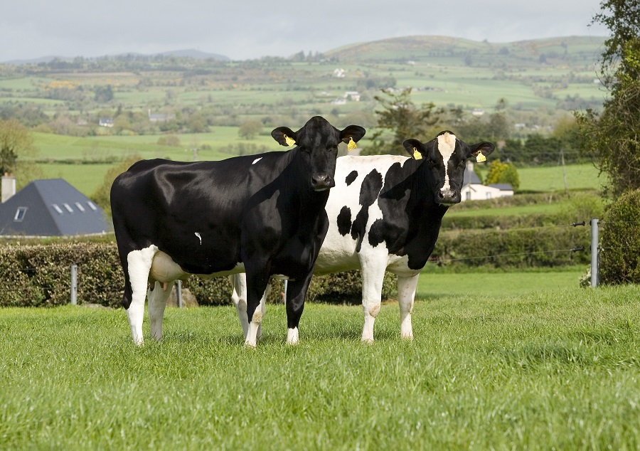 Animal Welfare Training Courses
