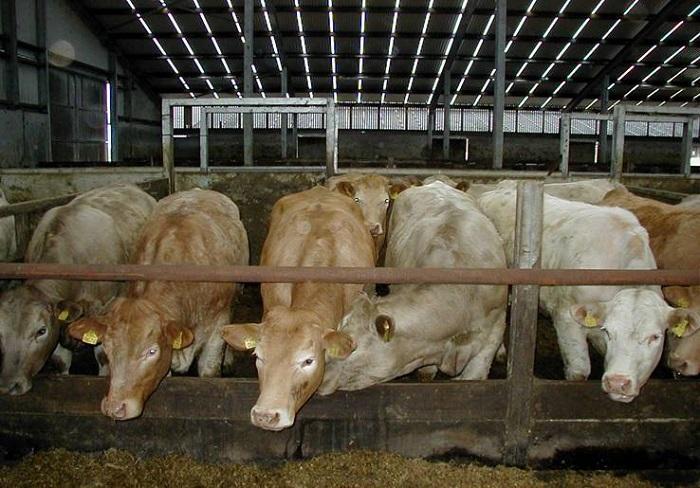 Preparation for the winter months