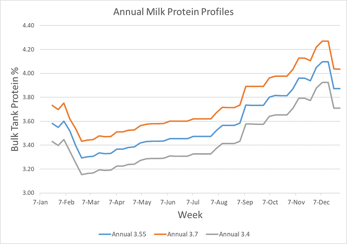 Figure 1 outlines the typical milk protein concentration curves for three given annual milk protein concentrations ranging from 3.4 to 3.7%. Typically milk protein % drops to 0.3-0.4% below the annual average at this time point.