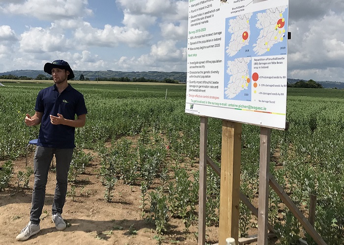 Antoine Pichon speaking at the Crops and Cover Crops Cultivations open Day in Teagasc Oak Park