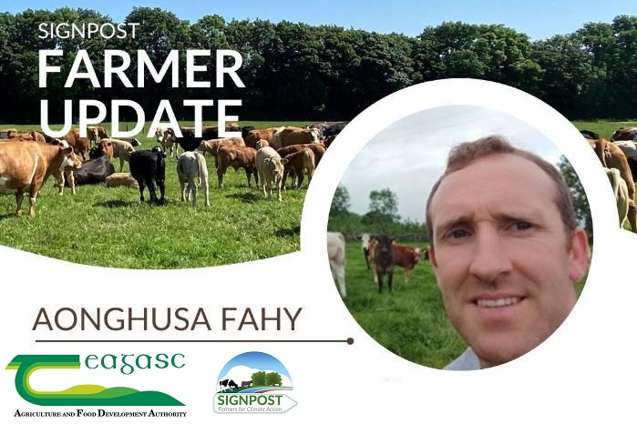 A graphic containing a picture of Aonghusa Fahy and the Teagasc and Signpost logos