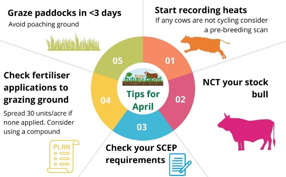 Top tips April 2024