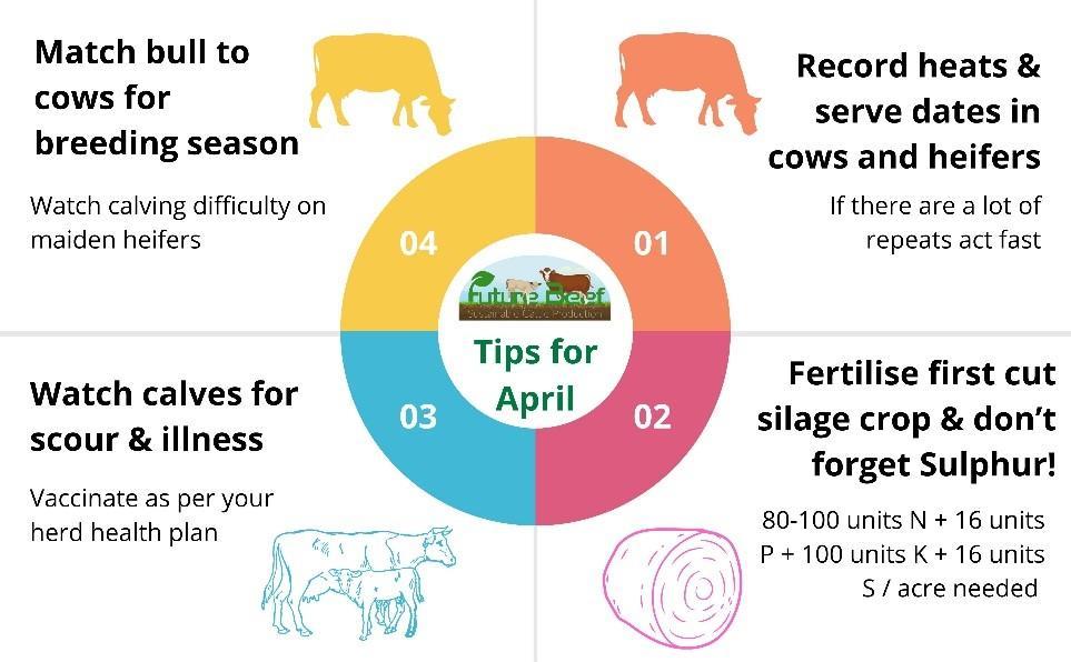 Top tips for April 2025