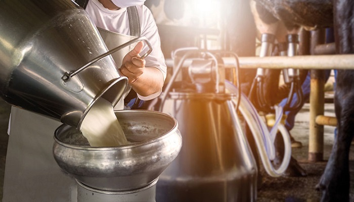 Driving more milk from good practice