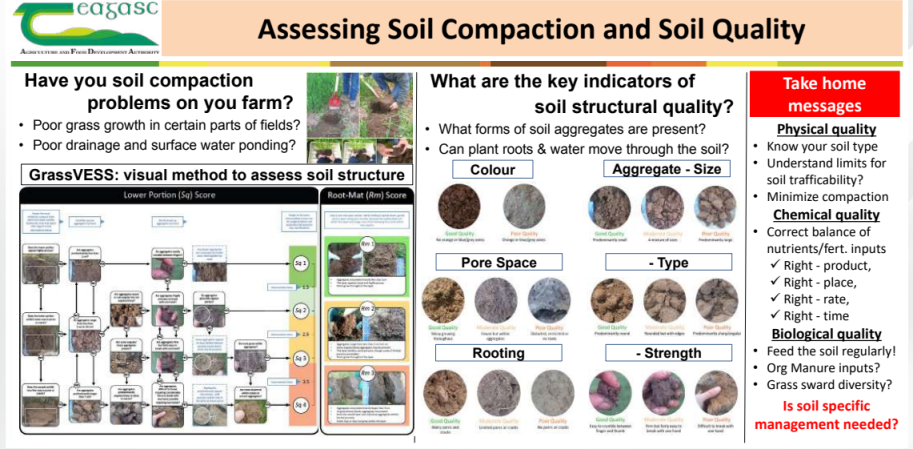 Poor grass growth in parts of a field, poor drainage and surface water ponding indicate soil compaction. Aggregate size, colour, pore space, rooting and strength are indicators of soil health