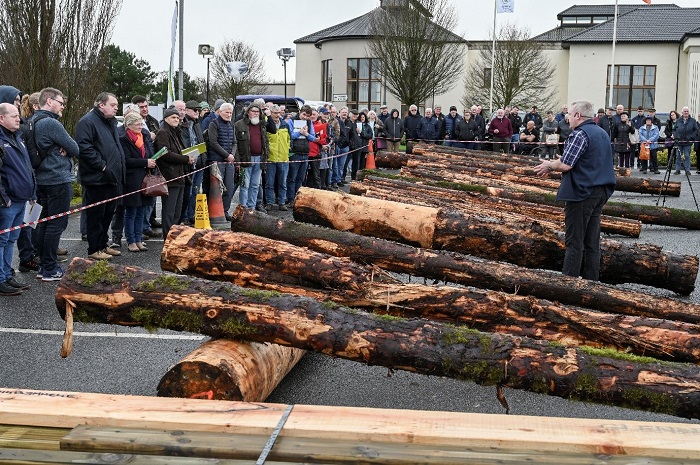 Attendees listening to a presentation of sawn logs at Talking Timber