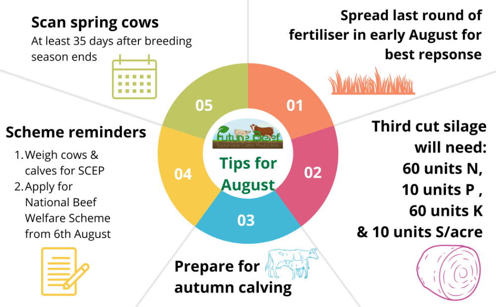 Top tips for August