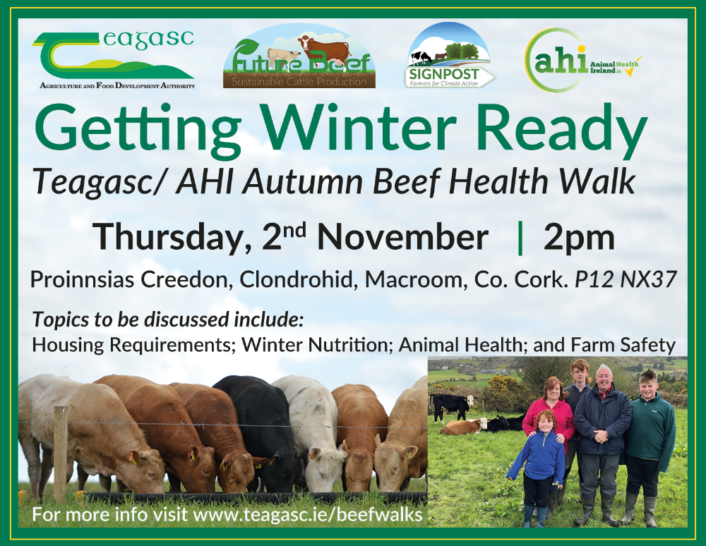 Getting winter ready walk advert on Proinnsias's farm