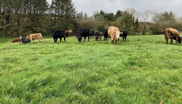 Getting Winter Ready on the Kingston Farm