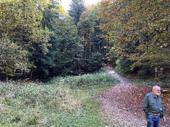 The management of the Cansiglio Forest in Italy