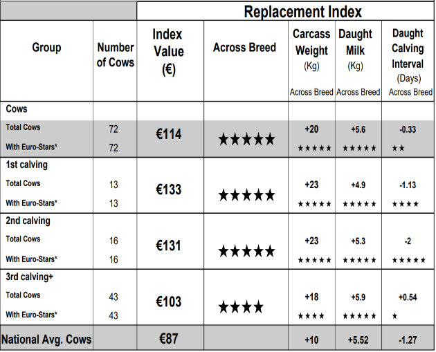 Average beef Euro-Star values for cows on Wesley's farm