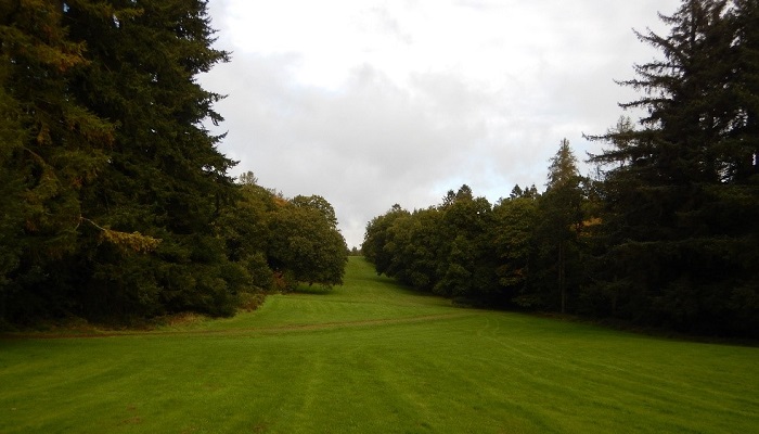 FitForests –Ensuring correct tree species choice to address climate change uncertainties