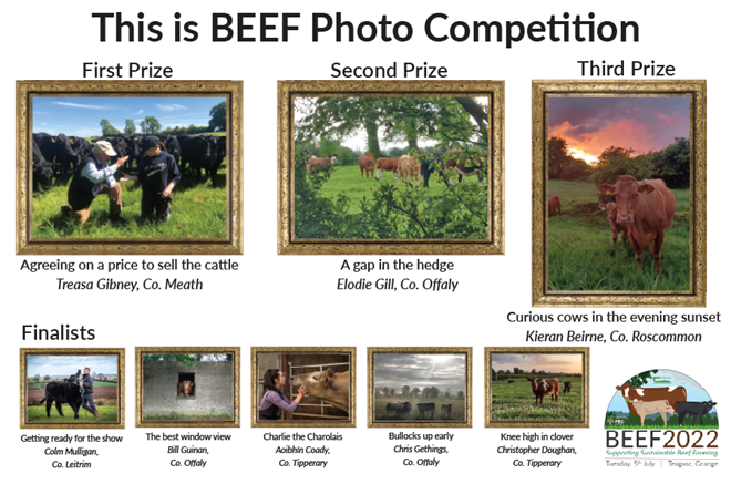 ‘A spit seals the deal’ in the Teagasc Beef Photo Competition