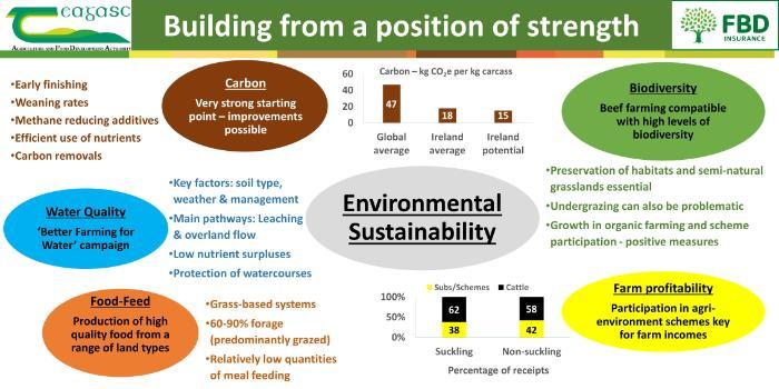 BEEF2024 Main Stand 1 Board 1 Building from a position of strength - all information in pdf below and summary