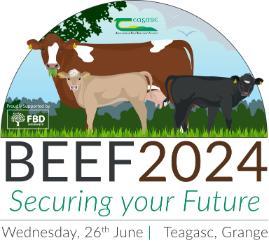 BEEF2024 logo