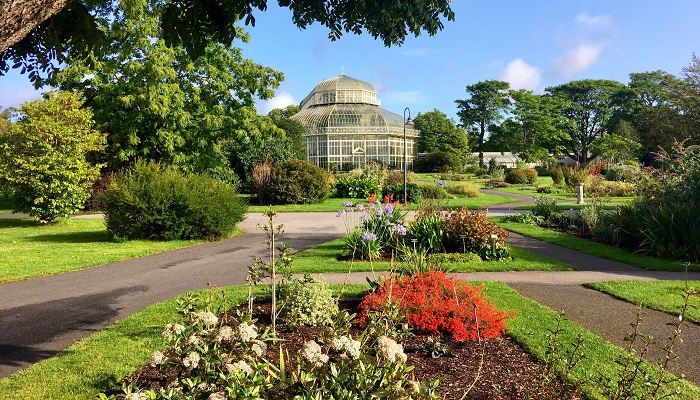 How plants in your garden remove carbon dioxide from the atmosphere