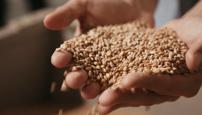What food from beer waste would you like to go with your pint?