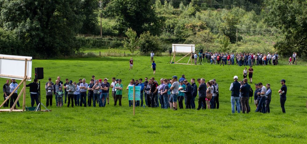 Profitable and sustainable dairy system