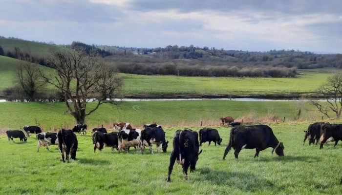 Cover image for Examine all costs now article