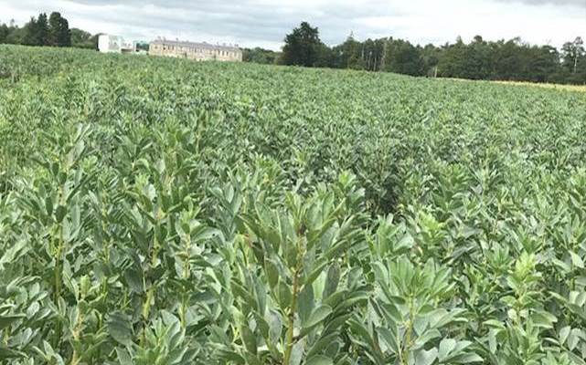 Tillage Newsletter - May 2022