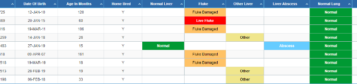 Beef HealthCheck report ICBF