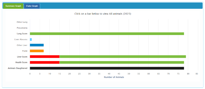 Beef HealthCheck report ICBF