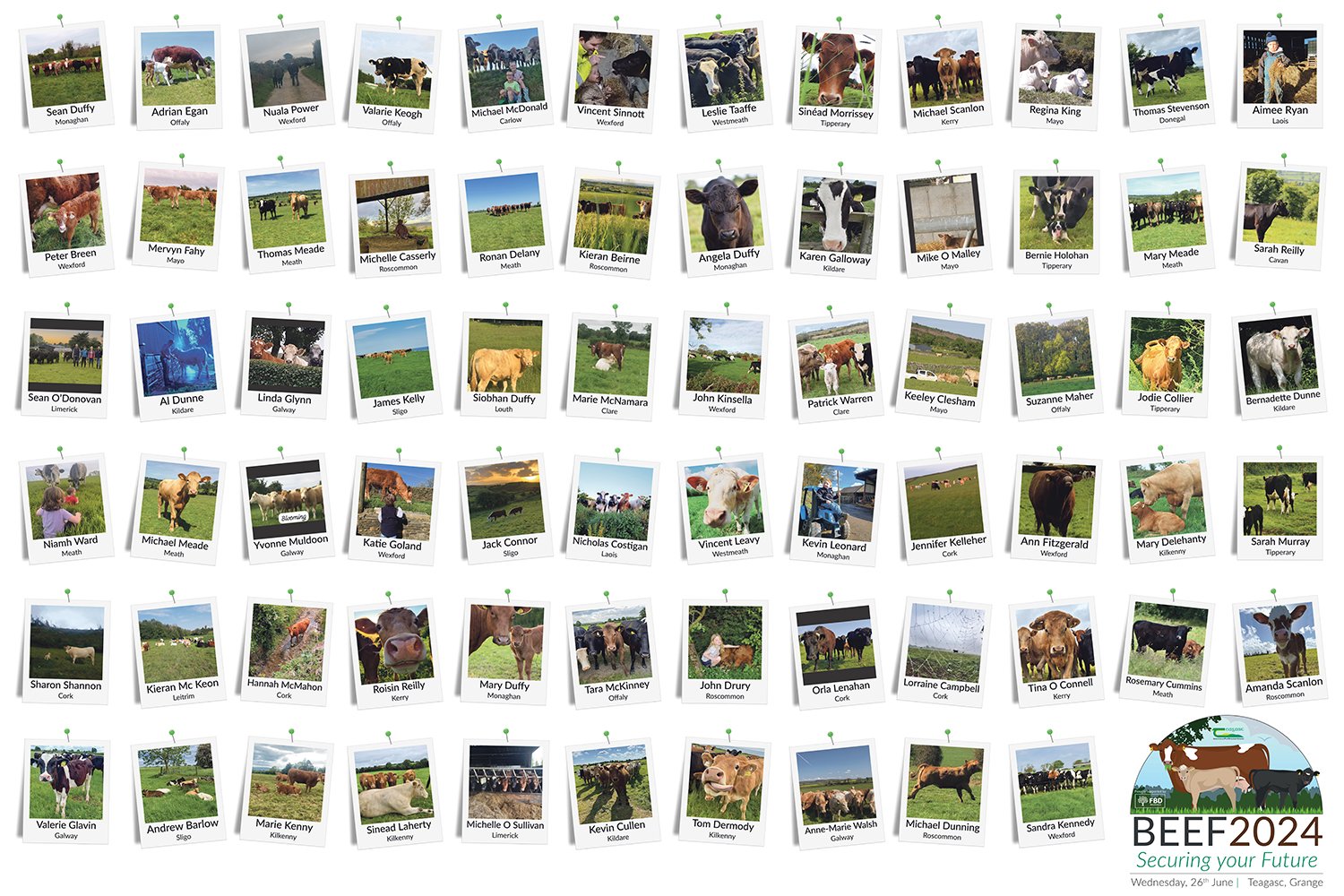 image of a board showing the entries to the Beef Photo Competition