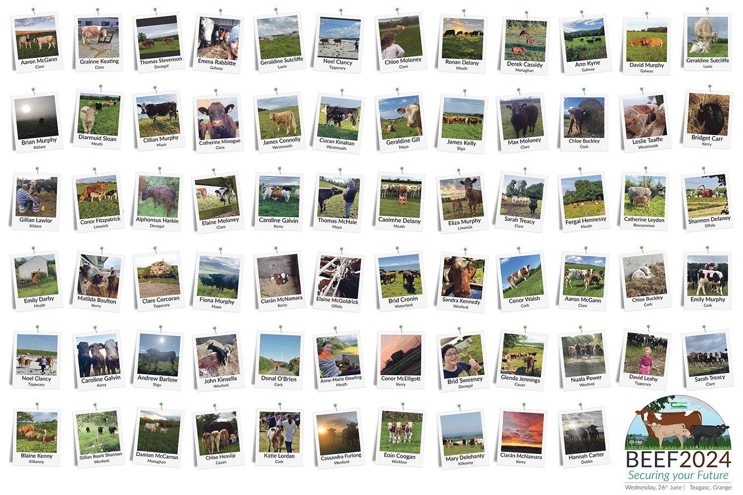 image of a board showing the entries to the Beef Photo Competition