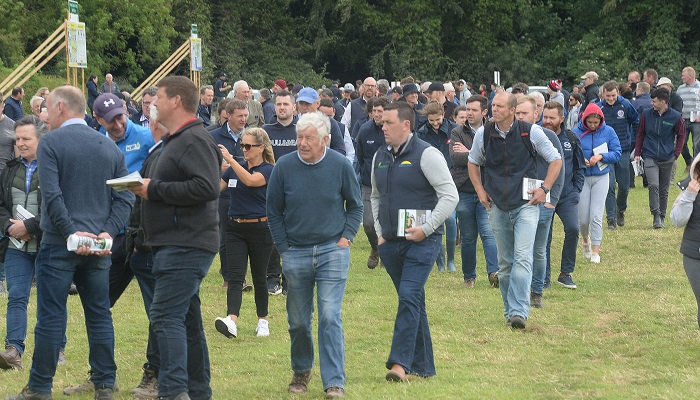 Review of Beef 2022 Open day