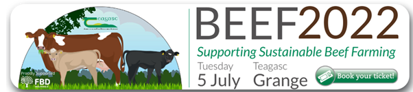 Beef2022 banner