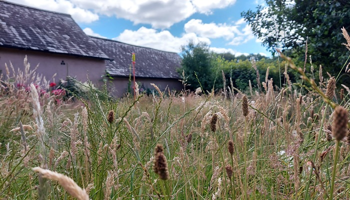 Biodiversity Farm Walk in Wexford