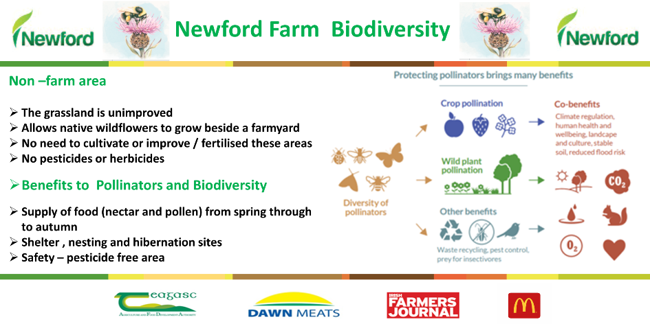 Biodiversity infographic