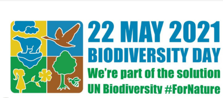 Farmers are part of the solution - Biodiversity Day 2021