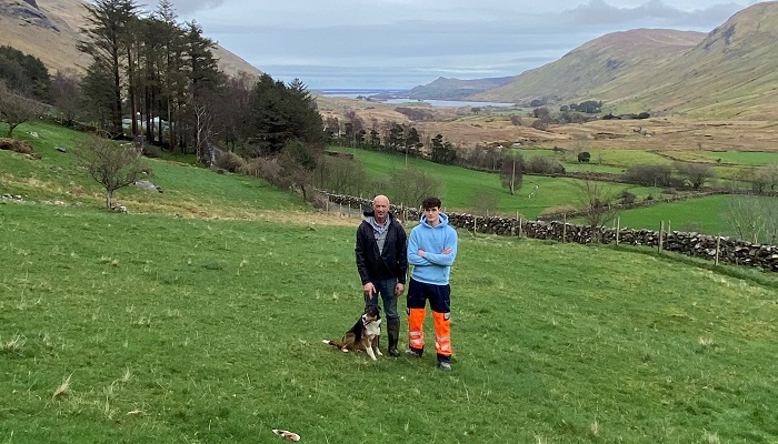 Protecting the Connemara/Mayo Blackface Breed for Future generations
