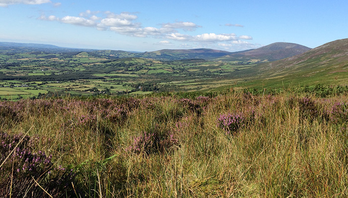 Blackstairs Farming Futures (BFF)