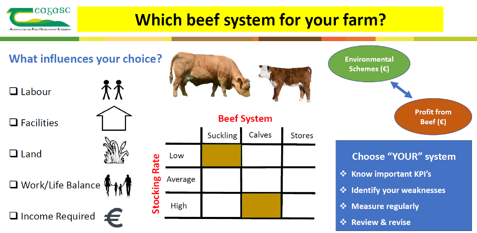 Board 1 Beef 2022 Selecting the most suitable system for your beef farm