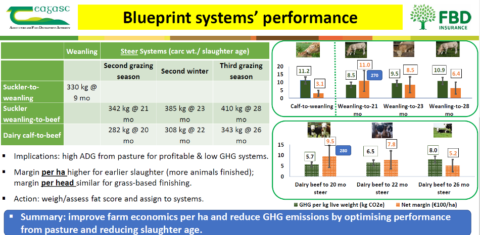 Board 1B Beef 2022  Selecting the most suitable system for your beef farm